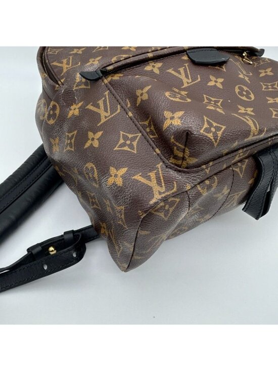 Louis Vuitton Palm Spring Backpack MM Sac main image 11